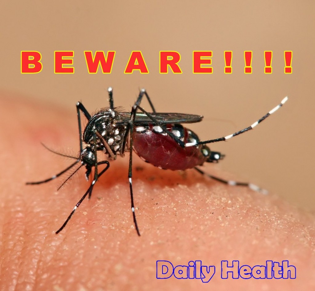 dengue-cure-treatment-healthy