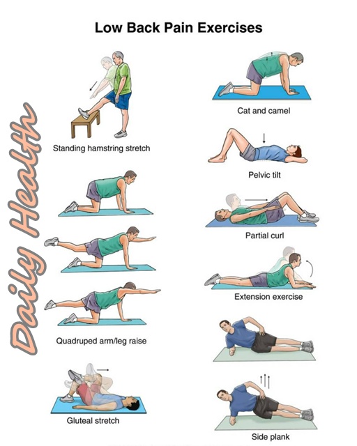 exercise for lower back pain