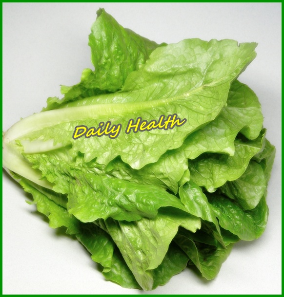 Romaine-lettuce
