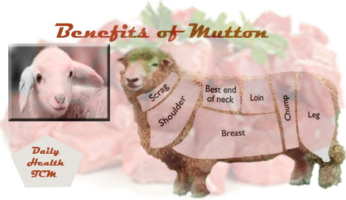 Benefits of Mutton