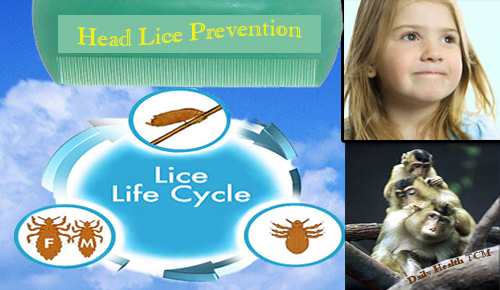 Head Lice Prevention